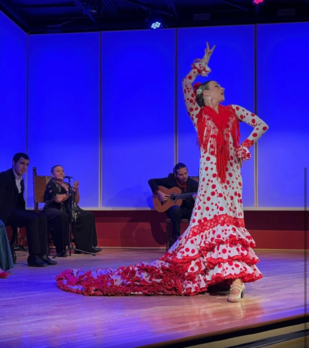 Private flamenco performance at a YPO New Mexico evening event